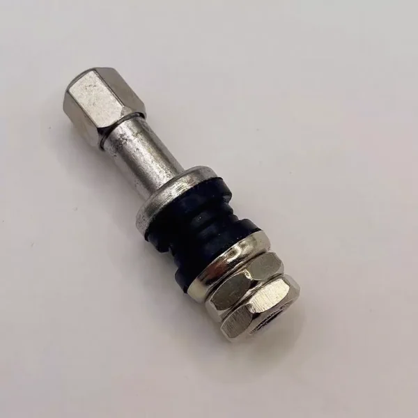 Stainless Steel Tubeless Tire Valve Nut for Motorcycle & Car (TR161 / TR48E)