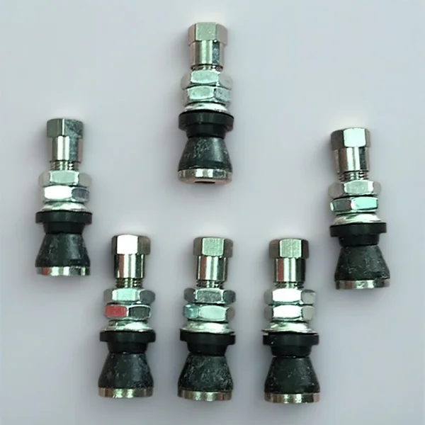 Stainless Steel Tubeless Tire Valve Nut for Motorcycle & Car (TR161 / TR48E)